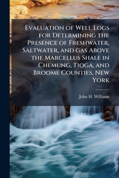 Evaluation of well logs for determining the presence of freshwater, saltwater, and gas above the Marcellus Shale in Chemung, Tioga, and Broome ... Scientific Investigations Report 2010-5224