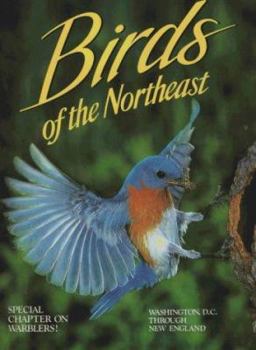 Paperback Birds of the Northeast: Washington, D.C. Through New England Book