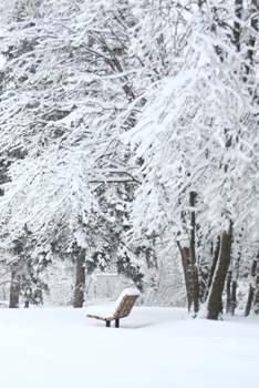 Paperback Leise rieselt der Schnee Notizbuch [German] Book