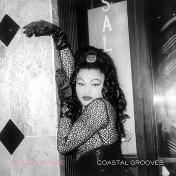 Vinyl Coastal Grooves Book