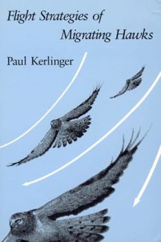 Paperback Flight Strategies of Migrating Hawks Book