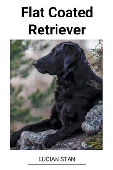 Paperback Flat Coated Retriever [Romanian] Book