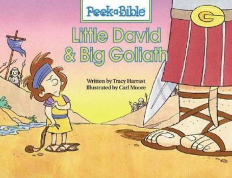Board book Little David and Big Goliath Book