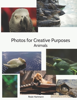 Paperback Photos For Creative Purposes: Animals Book