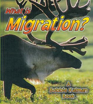 Hardcover What Is Migration? Book