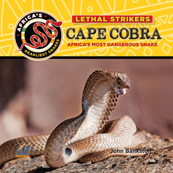 Cape Cobra : Africa's Most Dangerous Snake