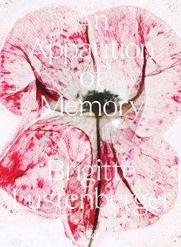 Paperback Brigitte Lustenberger: An Apparition of Memory Book