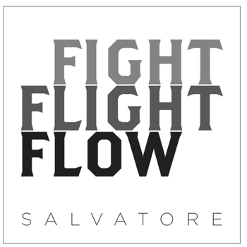 Paperback Fight Flight Flow Book