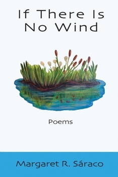 Paperback If There Is No Wind Book