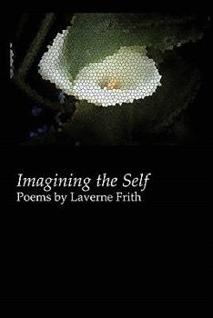 Paperback Imagining the Self Book