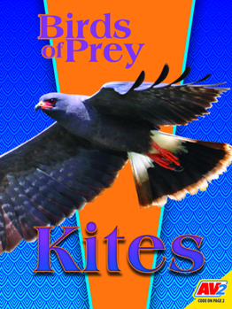 Library Binding Kites Book