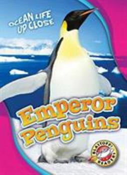 Emperor Penguins - Book  of the Ocean Life Up Close