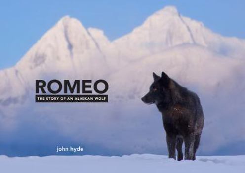 Hardcover Romeo: The Story of an Alaskan Wolf Book