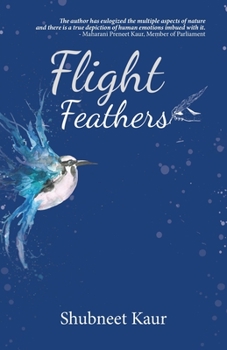 Paperback Flight Feathers Book