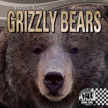 Grizzly Bears - Book  of the Animal Icons