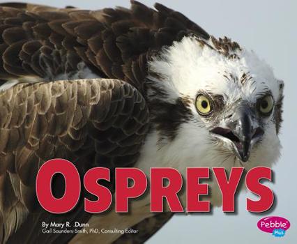 Hardcover Ospreys Book