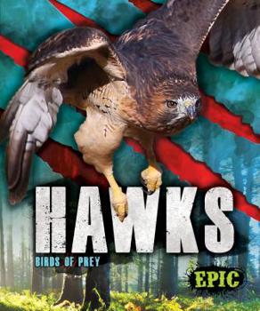 Library Binding Hawks: Birds of Prey Book