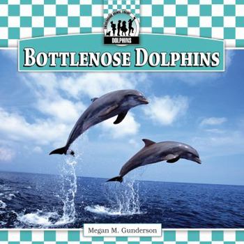 Bottlenose Dolphins - Book  of the Dolphins