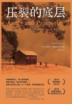 Paperback 压裂的底层 [Chinese] Book