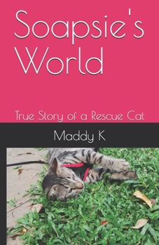 Paperback Soapsie's World: True Story of a Rescue Cat Book