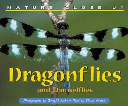 Hardcover Nature Close Up: Dragonflies Book