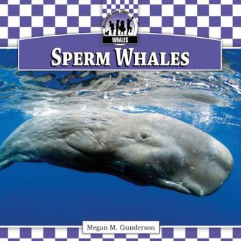 Library Binding Sperm Whales Book