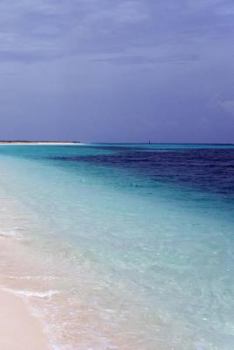 Paperback Cuba Notebook Book