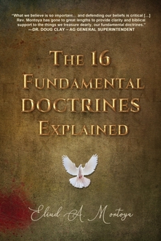 Paperback The 16 Fundamental Doctrines Explained Book