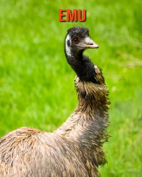 Paperback Emu: Beautiful Pictures & Interesting Facts Children Book About Emu Book