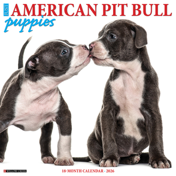 Calendar American Pit Bull Terrier Puppies 2026 12 X 12 Wall Calendar Book