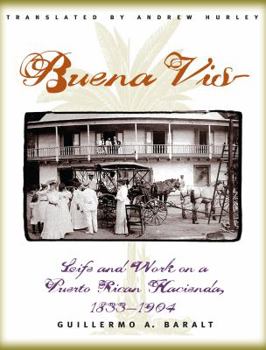 Paperback Buena Vista: Life and Work on a Puerto Rican Hacienda, 1833-1904 Book