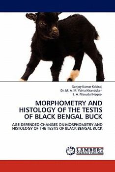 Paperback Morphometry and Histology of the Testis of Black Bengal Buck Book