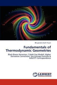 Paperback Fundamentals of Thermodynamic Geometries Book