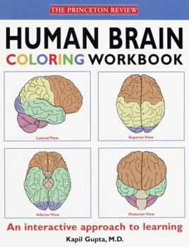 Paperback Human Brain Coloring Workbook Book