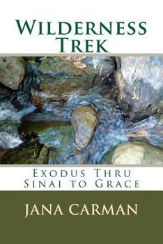Paperback Wilderness Trek: Exodus Thru Sinai to Grace Book