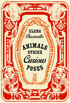 Paperback Animals Strike Curious Poses Book