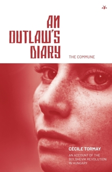 Paperback An Outlaw's Diary Book