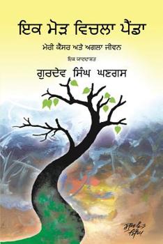 Paperback Journey Through a Turning Point: Punjabi Edition [Indic] Book