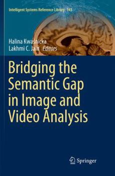 Paperback Bridging the Semantic Gap in Image and Video Analysis Book