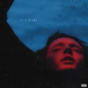 Vinyl In A Dream - EP (Blue Mist LP) Book