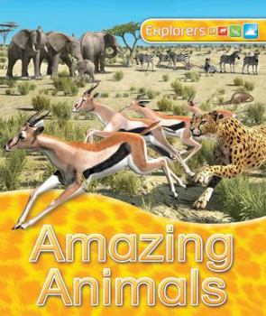 Paperback Explorers: Amazing Animals Book