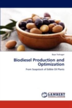 Paperback Biodiesel Production and Optimization Book