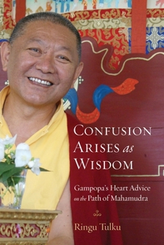 Paperback Confusion Arises as Wisdom: Gampopa's Heart Advice on the Path of Mahamudra Book