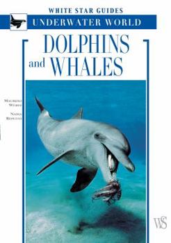 Paperback Dolphins and Whales: White Star Guides - Underwater World Book