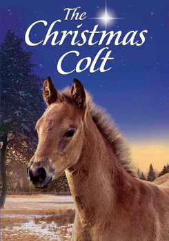 The Christmas Colt