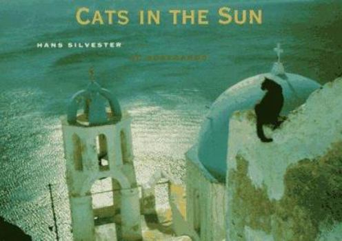 Card Book Cats in the Sun Book