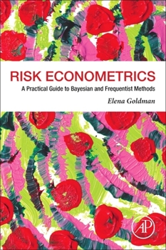 Paperback Risk Econometrics: A Practical Guide to Bayesian and Frequentist Methods Book