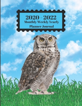 Paperback 2020 - 2022 Monthly Weekly Yearly Planner Journal: Owl Bird Standing In Grass Blue Sky Clouds Cover 2 Year Planner Appointment Calendar Organizer And Book