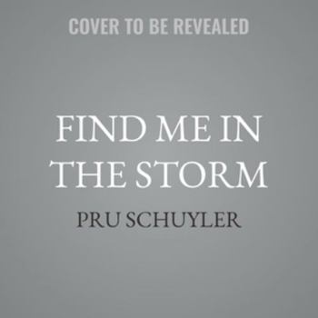 Audio CD Find Me in the Storm Book