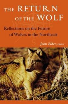 Hardcover The Return of the Wolf: Reflections on the Future of Wolves in the Northeast (Middlebury Bicentennial Series in Environmental Studies) Book